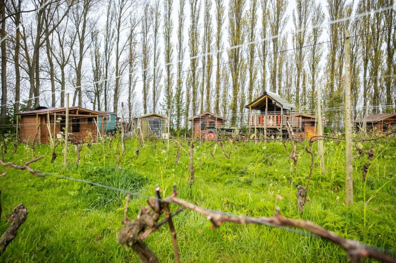 Wijndomein De Vier Ambachten -Overnachten In De Wijngaard Simonshaven Dış mekan fotoğraf