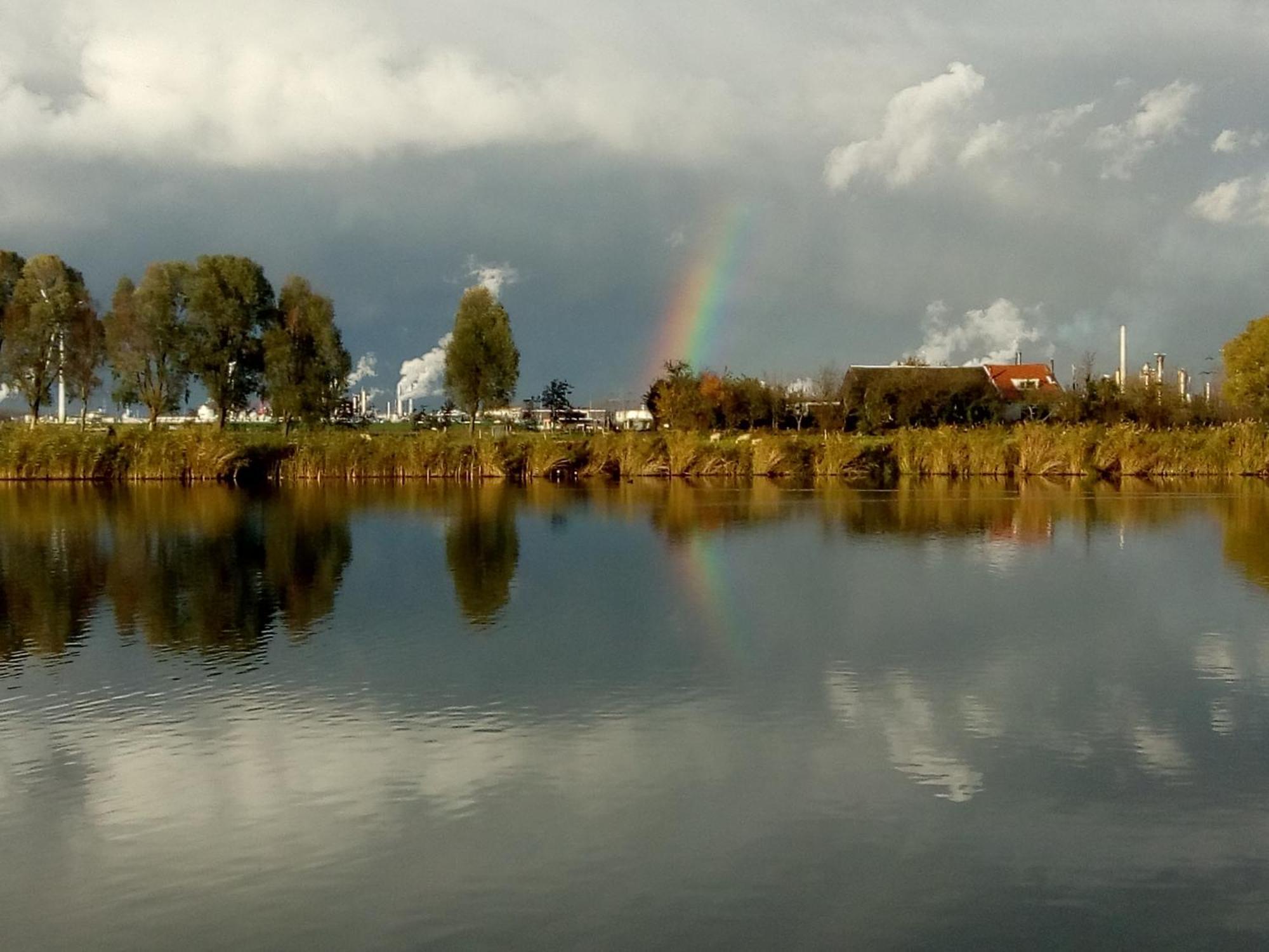 Wijndomein De Vier Ambachten -Overnachten In De Wijngaard Simonshaven Dış mekan fotoğraf