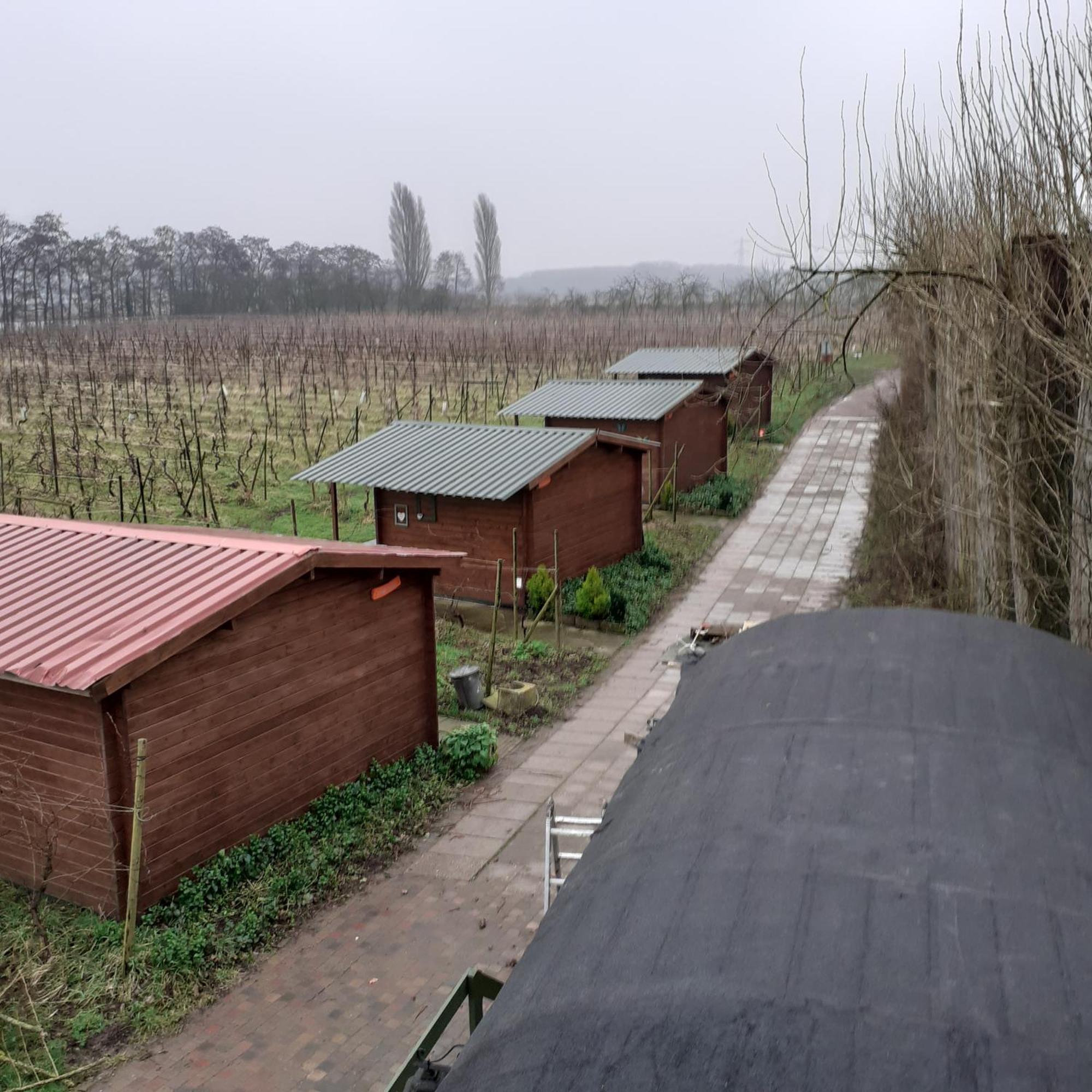 Wijndomein De Vier Ambachten -Overnachten In De Wijngaard Simonshaven Dış mekan fotoğraf